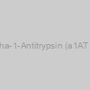 Mouse Alpha-1-Antitrypsin (a1AT) ELISA Kit